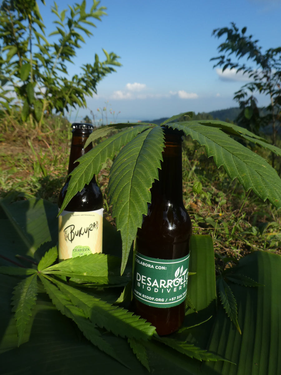 Is One Beer Too Much? Alcohol's Real Impact on Driving Safety